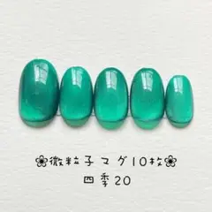 【即購入ok・チップ変更可能】マグネットネイルチップ　ニュアンス　四季20