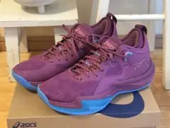 4時間のみ使用ASICS NOVASURGE LOW 2 ノヴァサージ