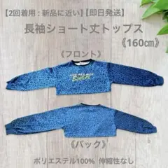 【未使用に近い:2回着用】【即日発送】長袖ショート丈トップス《レオパード柄》
