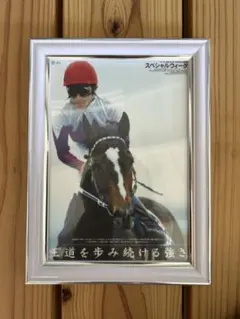スペシャルウィーク JRA 競馬 写真 額縁セット　ポスター