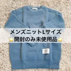 ⭐️4612 未使用品 開封のみ セーター メンズ ニット Lサイズ