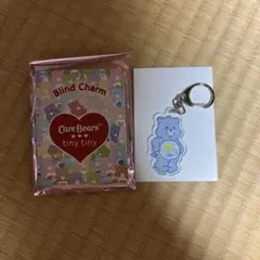 【匿名配送】ケアベア ランダムチャーム キーホルダー tinytiny 青