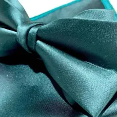 Item thumbnail for item d34d0e82-d7b6-489f-911e-f2b91d3a280d