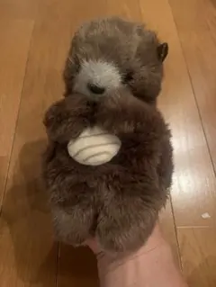 ラッコのぬいぐるみ