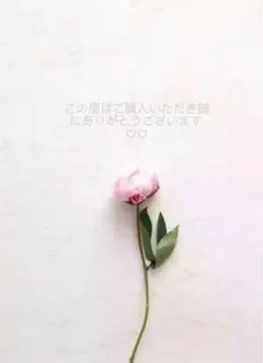ダンシングストーン ネックレス 韓国 キム秘書 パクミニョン着用 ピンクゴールド