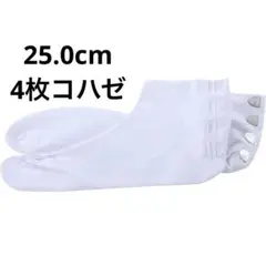 Item thumbnail for item ff4da211-ae06-46ba-8170-416fda1bd1c4