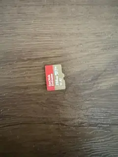 SanDisk 256GB MicroSDカード