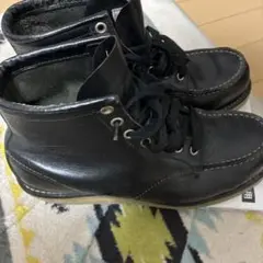 アイリッシュセッター