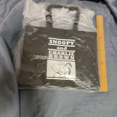 スヌ一ピ一バッグ