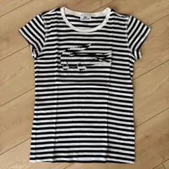 LACOSTE ストライプ Tシャツ 40