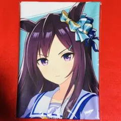 Item thumbnail for item 45fc9965-b832-4326-b146-015bf6878a55