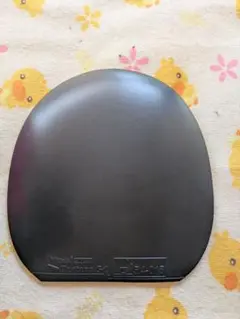 最終値下げ　　ファスタークg1