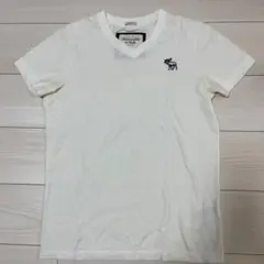 Abercrombie & Fitch ホワイト Vネック Tシャツ S