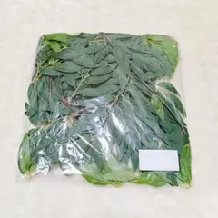 ⭐未使用⭐人工植物 オリーブの葉 ツタのつる ガーランド 装飾アイテム 自宅用