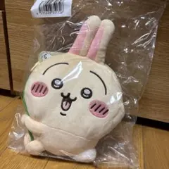 Item thumbnail for item 89093373-8930-4fcb-8f26-df90893231ad