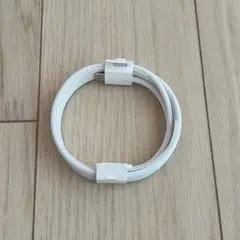 Apple AirPods付属 タイプCコード