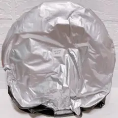 Item thumbnail for item 74c5d412-38ed-403b-9170-03399b0329d7