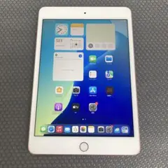 2454 電池最良好☆比較的美品☆iPad mini5 64GB WIFIモデル