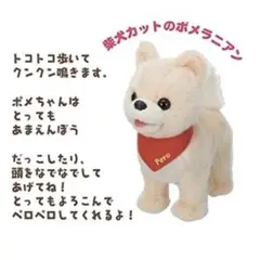 (未使用･未開封品)　だっこして ペロ キュートなポメちゃん ぬいぐるみ kmdlckf 81h2h5U4USL._UF894,1000_QL80_.jpg