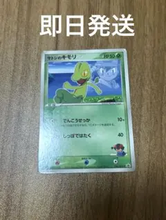 2025年最新】ポケモンカード サトシのキモリの人気アイテム