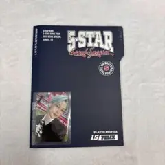 フィリックス ソウルコン プロフィールセット