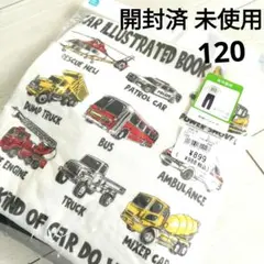 Item thumbnail for item b360c8e0-b24a-4d21-bb86-d89a8bcef58c