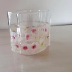 ボタニカルジェルキャンドルホルダー