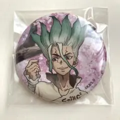 dr.stone ドクターストーン 缶バッジ 桜 石神千空 匿名配送
