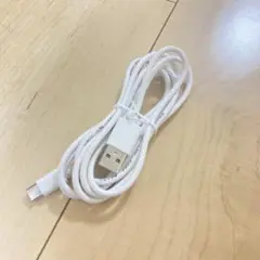 USB タイプC ケーブル 300V