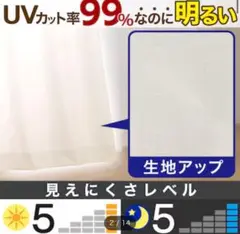 UVカット率99％遮熱・遮像レースカーテン(RL040 100X133X1)