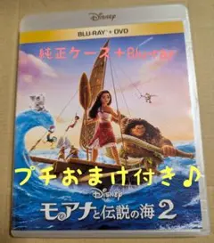 Item thumbnail for item c0106ae4-def1-40c0-8aca-0dc1bf086ff1