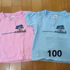 沖縄夏Tシャツ色違い2枚セット