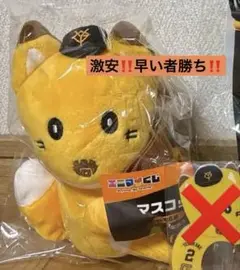 【ナオキツネ‼️】ジャイアンツエニマイくじ