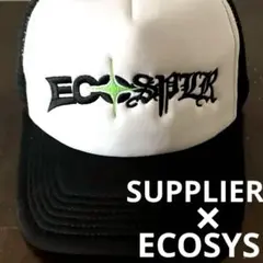 あじさい　ecosys エコシス　メッシュキャップ 2025年最新】ecosys キャップの人気アイテム - メルカリ