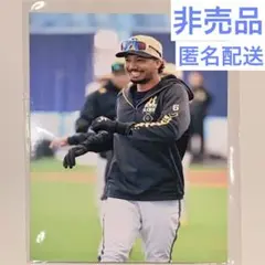 宗佑磨 オリジナル写真 2025年 オリックス・バファローズ