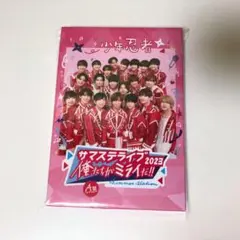 少年忍者 サマステライブ2023 俺たちがミライだ! A盤 DVD