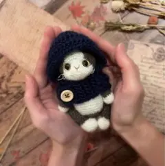 Item thumbnail for item e3009014-f627-48c1-991e-fda163be49a1