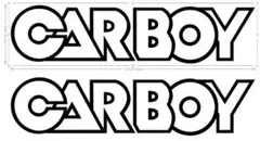 CARBOY カーボーイ 175ミリ