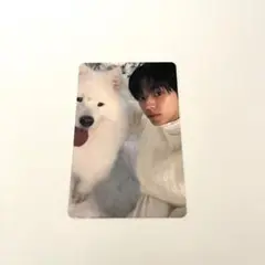 TWS ドフン lastbell weverse 特典 トレカ