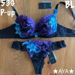 サルート 53 ブラック P-upブラu0026ソング