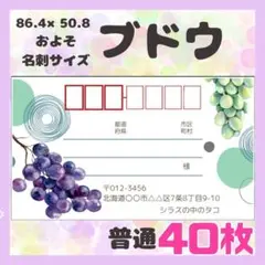 【ブドウ】宛名シール　差出人シール　普通サイズ　40枚　シンプル　フルーツ