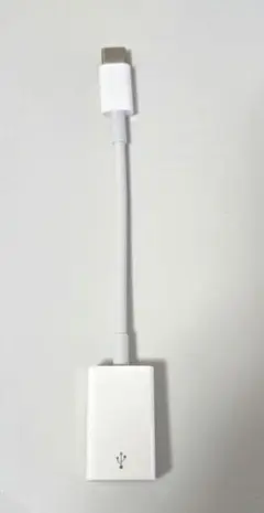 Apple USB-C - USBアダプタ