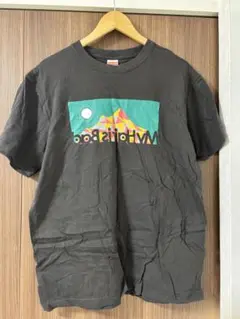 Item thumbnail for item 91d90d2a-c083-4cd0-a473-1ebd4ef48577