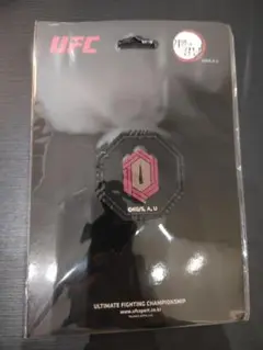 Item thumbnail for item 73a3afab-a85e-4144-97a8-c9e432ed9ff4