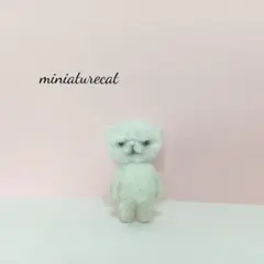 ミニチュア　エキゾチックショートヘア