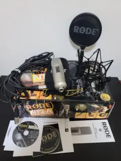2025年最新】rode nt2-aの人気アイテム - メルカリ
