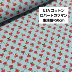 USAコットン　ロバートカフマン　生地　布【生地幅×50cm】No.1372