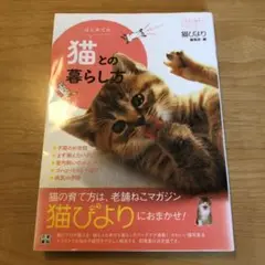 はじめての猫との暮らし方