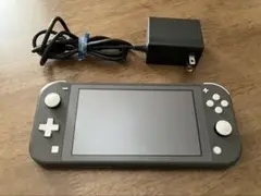 Nintendo Switch Lite グレー　本体・充電器