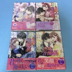 影の英雄の治癒係 全巻　亜子 / 浅岸久